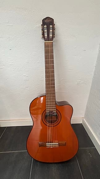 Washburn akustisk guitar med cutaway og pickup