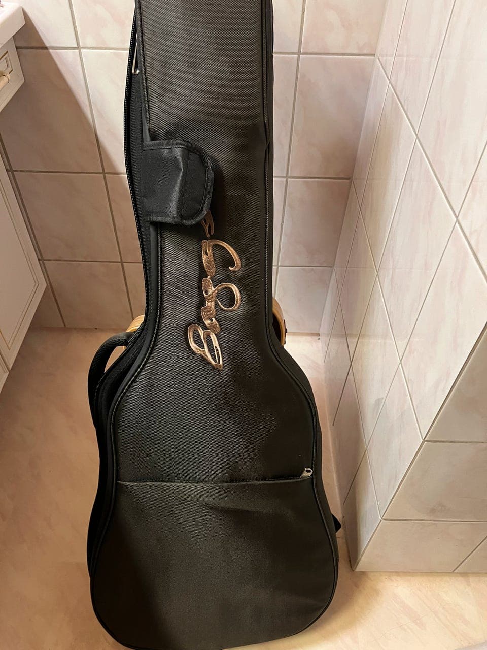 L.R.Baggs AEG 1 E- Acoustic E Natural