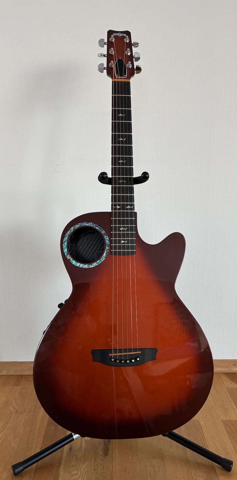 RainSong CO-WS1005NST