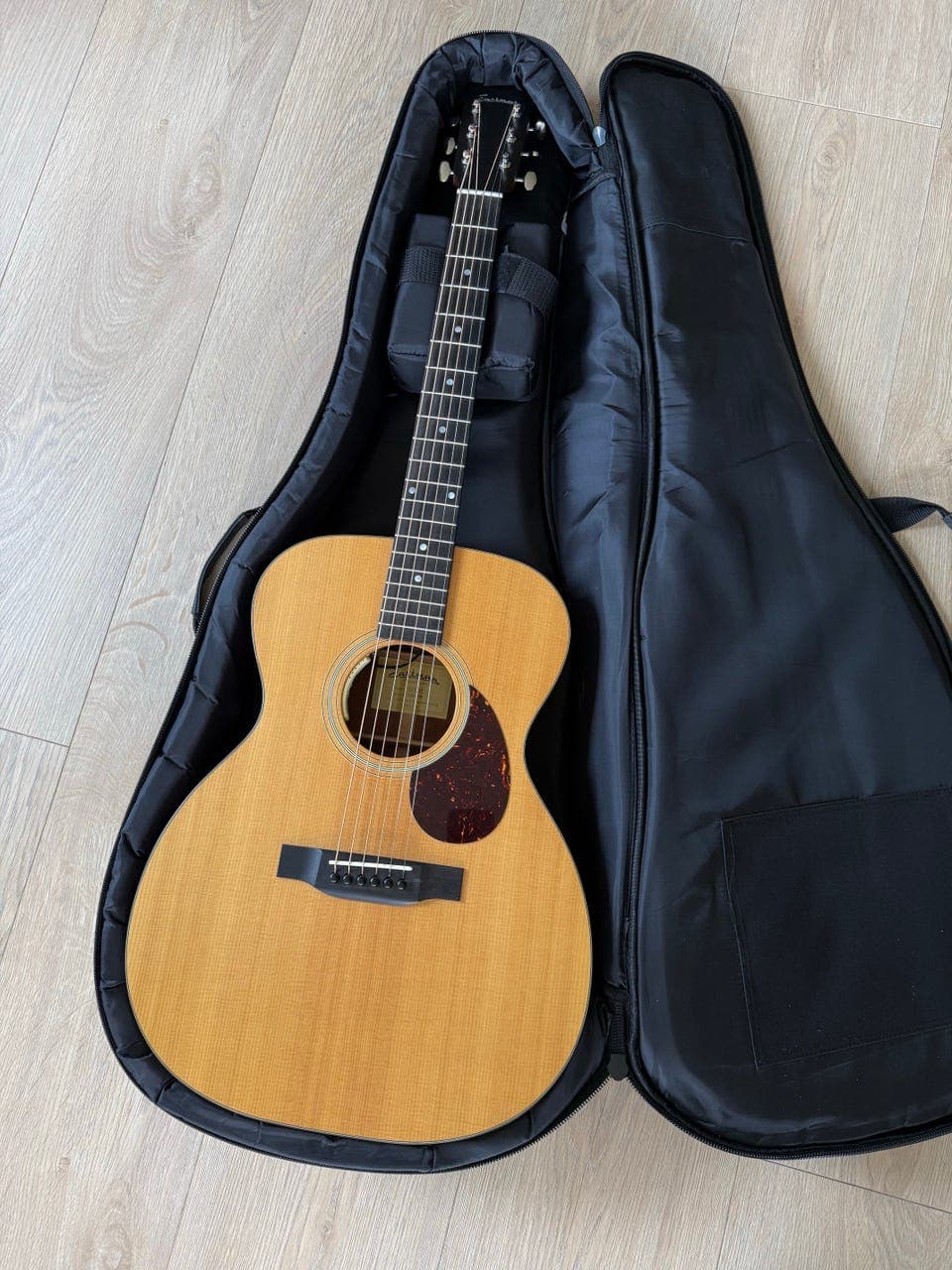 Eastman E1OM m pickup
