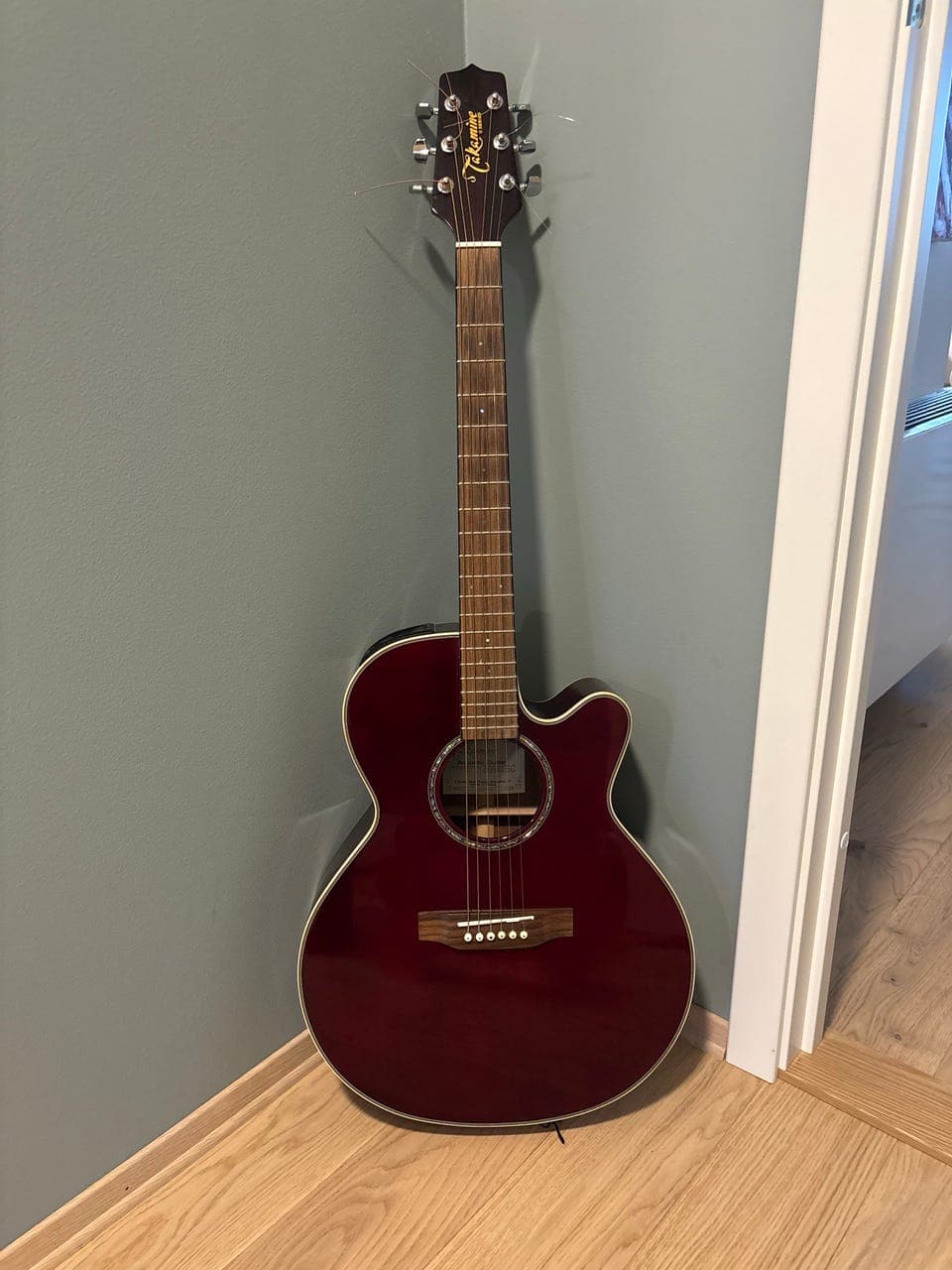 Takamine G-series (EG540SSC)