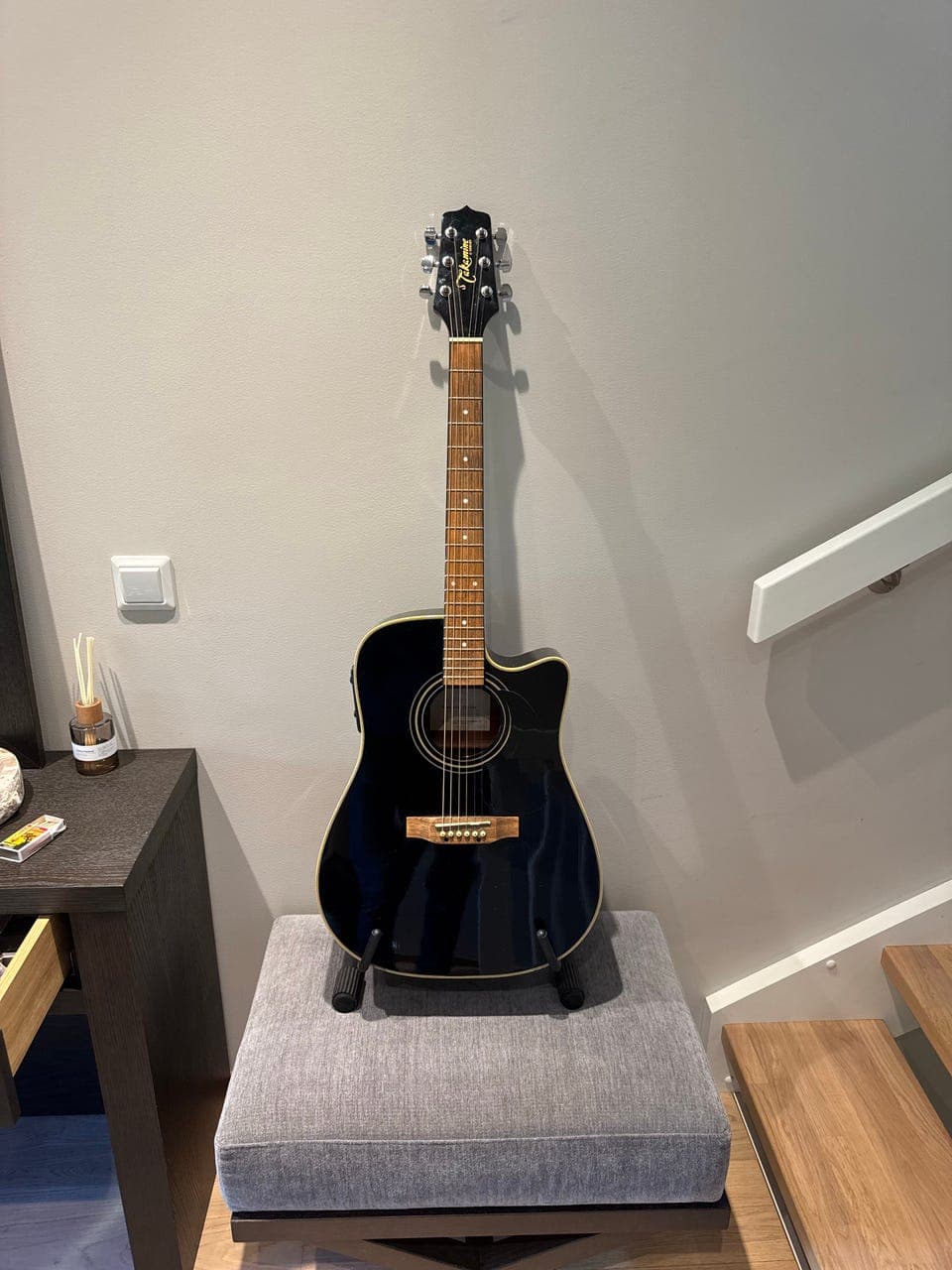 Takamine elektroakustisk gitar