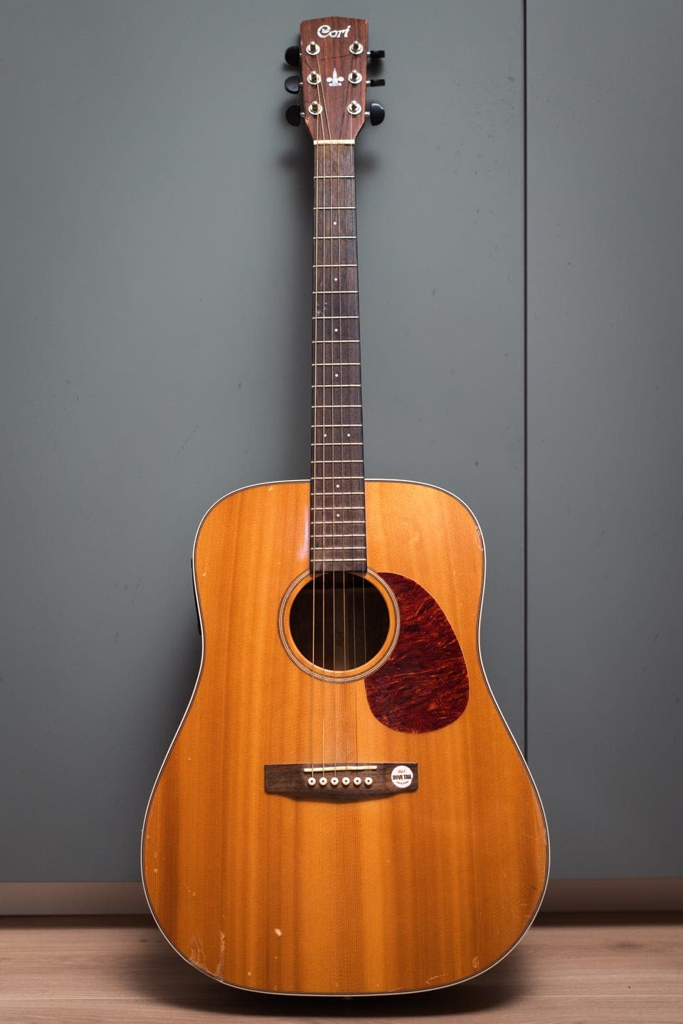 Cort Earth 100F elektroakustisk gitar – god lyd