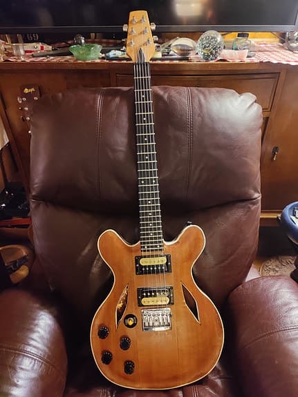 Custom made hollow body electric guitar