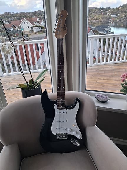Williams Stratocaster