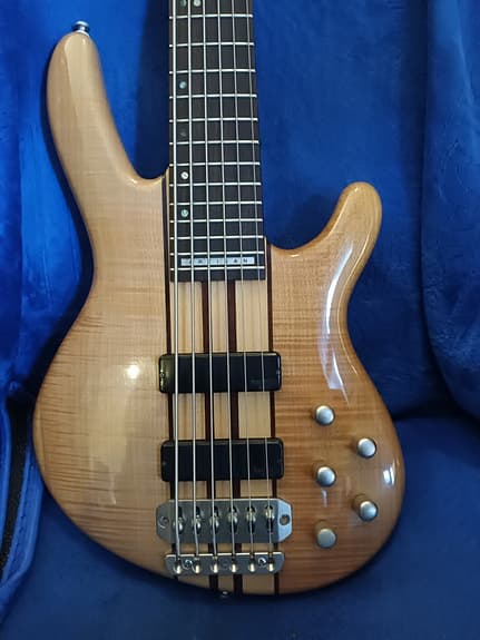CORT. Guitar Bass 6 Strings