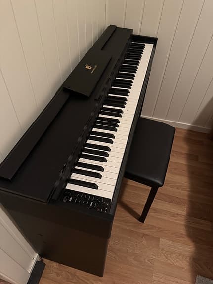 Digital Piano (Alexandra Luther)
