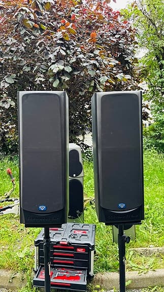 Cerwin Vega V-10F