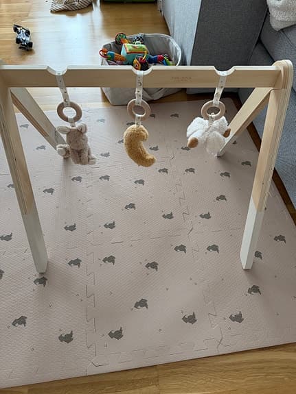 Little Dutch Baby Goose Babygym Tre