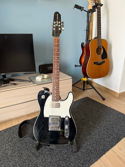 Fender john5 Telecaster