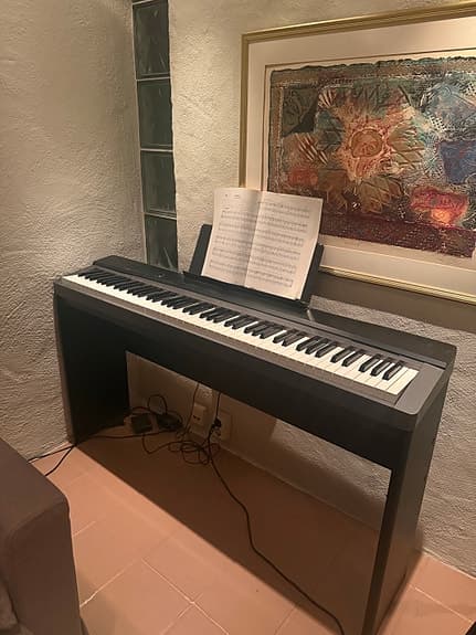 Casio Privia Digital Piano