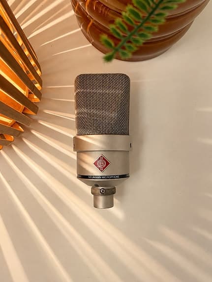 Neumann TLM 103 - Rycote InVision Shockmount