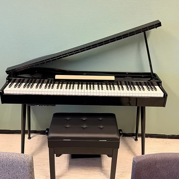 Professional Digital/El Piano