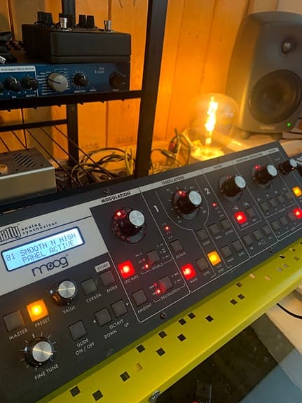 Moog Slim Phatty