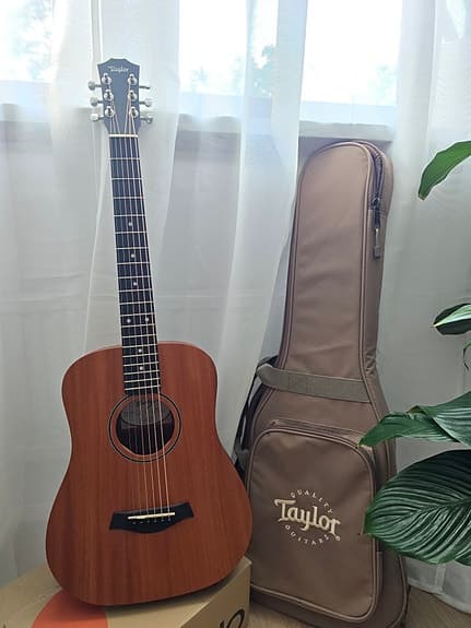 Left-Handed Baby Taylor BT2 (Mahogany) Acoustic Guitar + Gig Bag