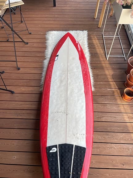 Surffilauta