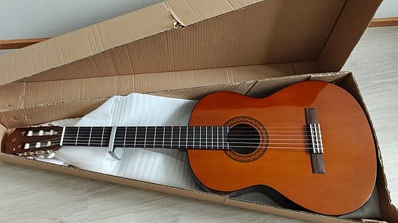 Acoustic Guitar Yamaha