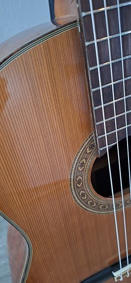 Washburn C20N klassinen - image 2