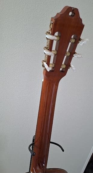 Washburn C20N klassinen - image 7