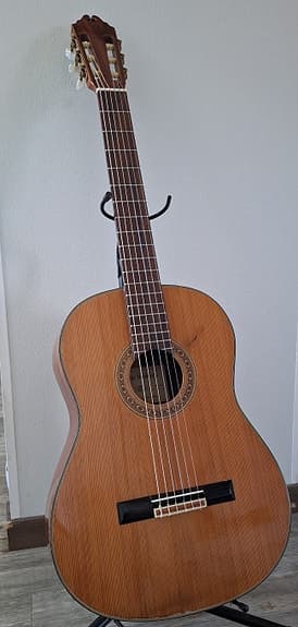 Washburn C20N klassinen