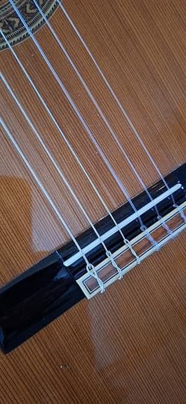 Washburn C20N klassinen - image 4