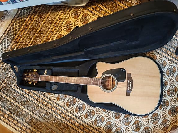Takamine elektroakustinen kitara