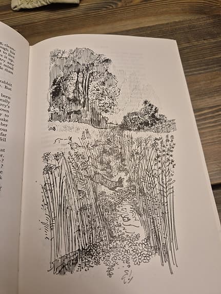 Otsikko: 22 englanninkielistä klassikkokirjaa – vanhoja ja kuvitettuja painoksia - image 9