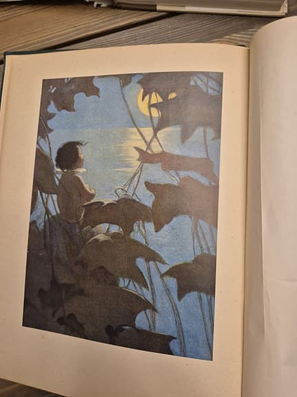Otsikko: 22 englanninkielistä klassikkokirjaa – vanhoja ja kuvitettuja painoksia - image 7