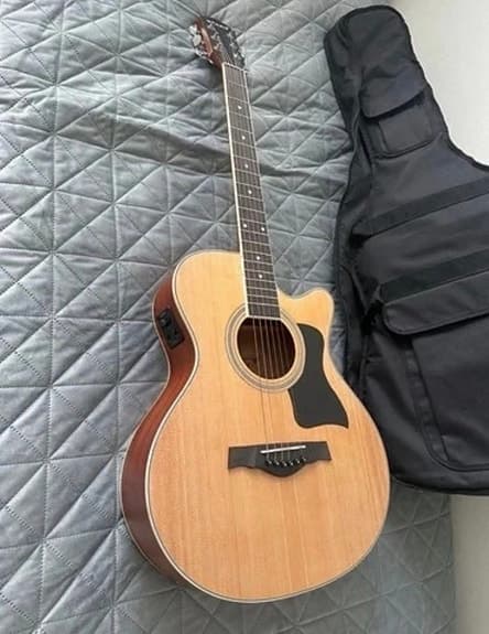 Acoustic Guitar Gecko - image 2