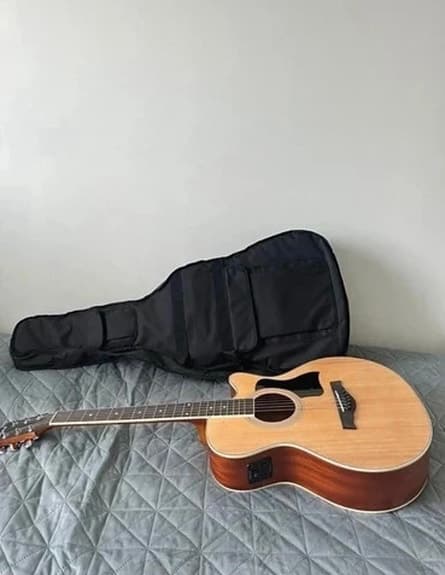 Acoustic Guitar Gecko