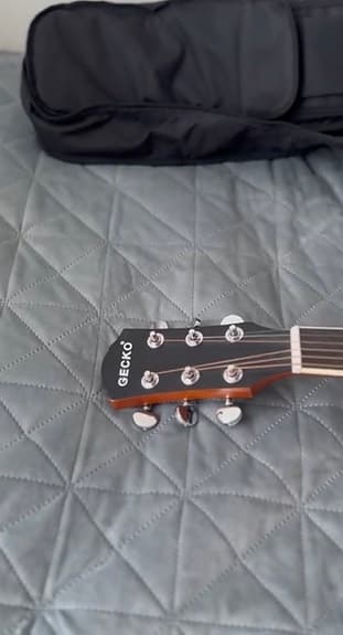 Acoustic Guitar Gecko - image 4