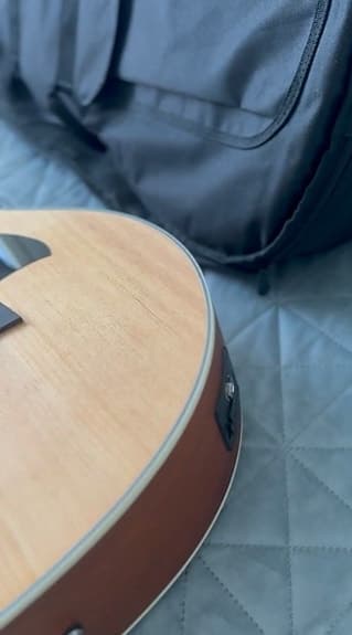 Acoustic Guitar Gecko - image 3