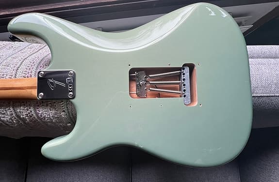 Fender Stratocaster Player - image 4