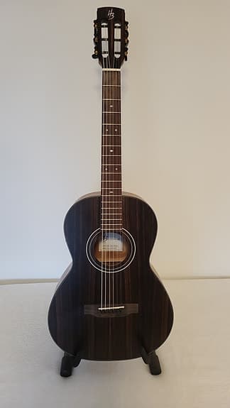 Elektroakustinen Parlor kitara