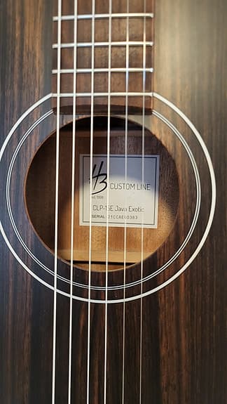 Elektroakustinen Parlor kitara - image 8