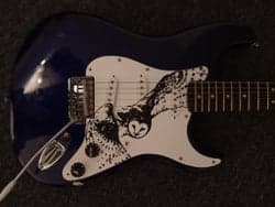 Custom pickguards / slagplader