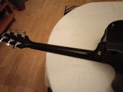 Takamine elektroakustisk Gitarr