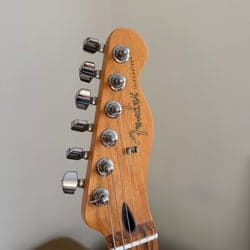 Player Telecaster®, Pau Ferro Fingerboard, Polar White, Year 2018