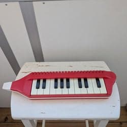 Bontempi Melodica piano