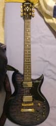 Washburn WI64DL