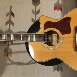 Tennessee Gewa akustisk gitarr med inbyggd equalizer