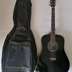 Vintage, Harley BENTON, Akustik Guitar