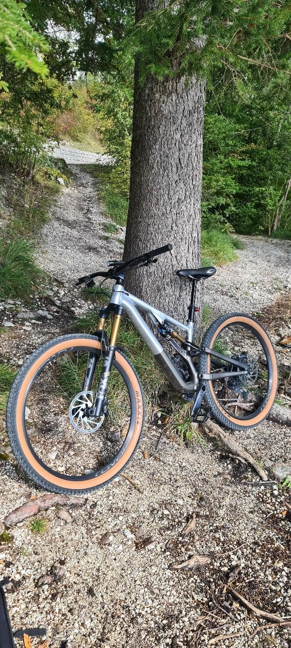 Specialized Stumpjumper EVO Elite Alloy S3