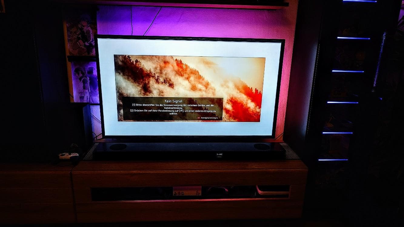LG OLED 4K 55 Zoll GX 9 LA Gallery Edition