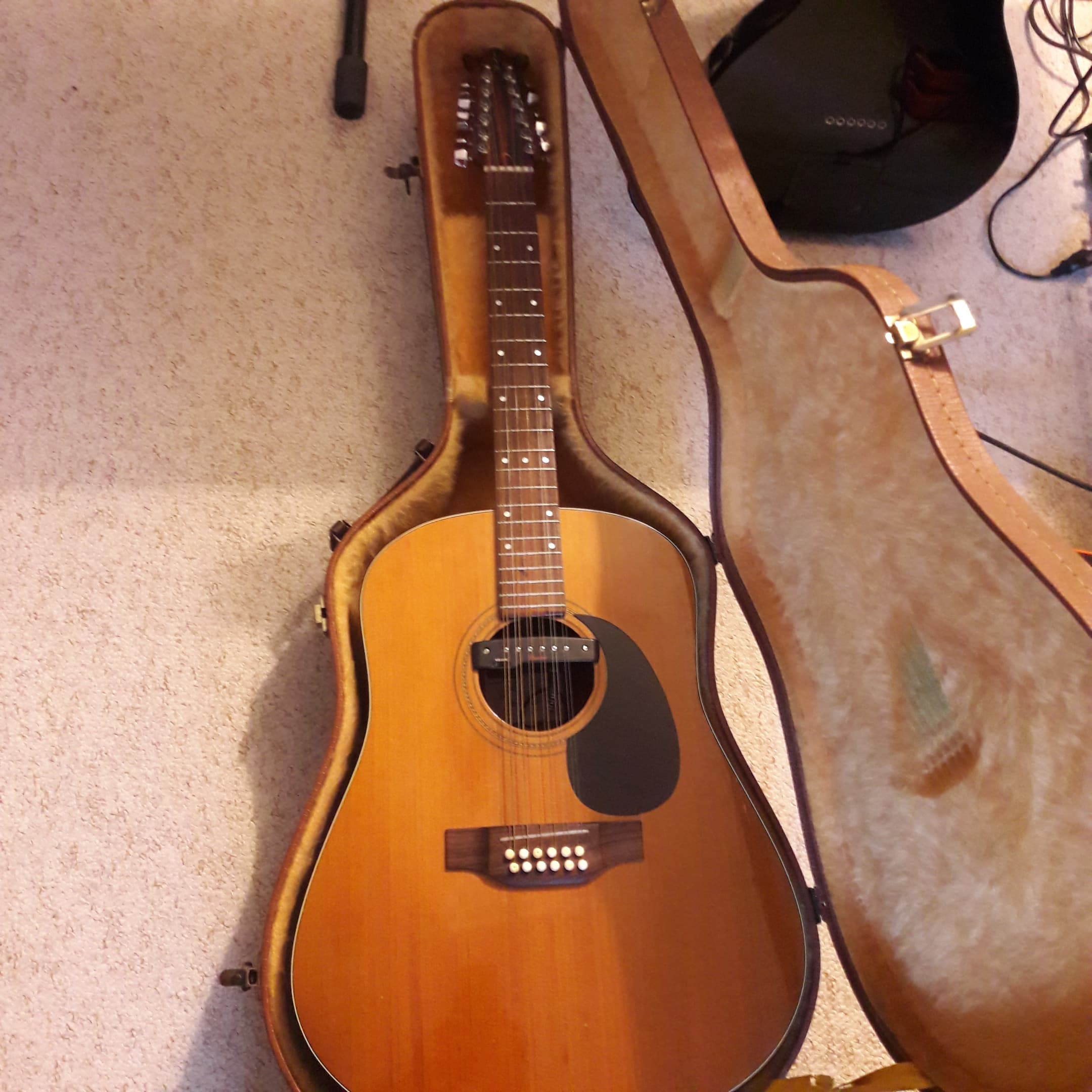 je vends ma 12 cordes canadienne LYS + fishman