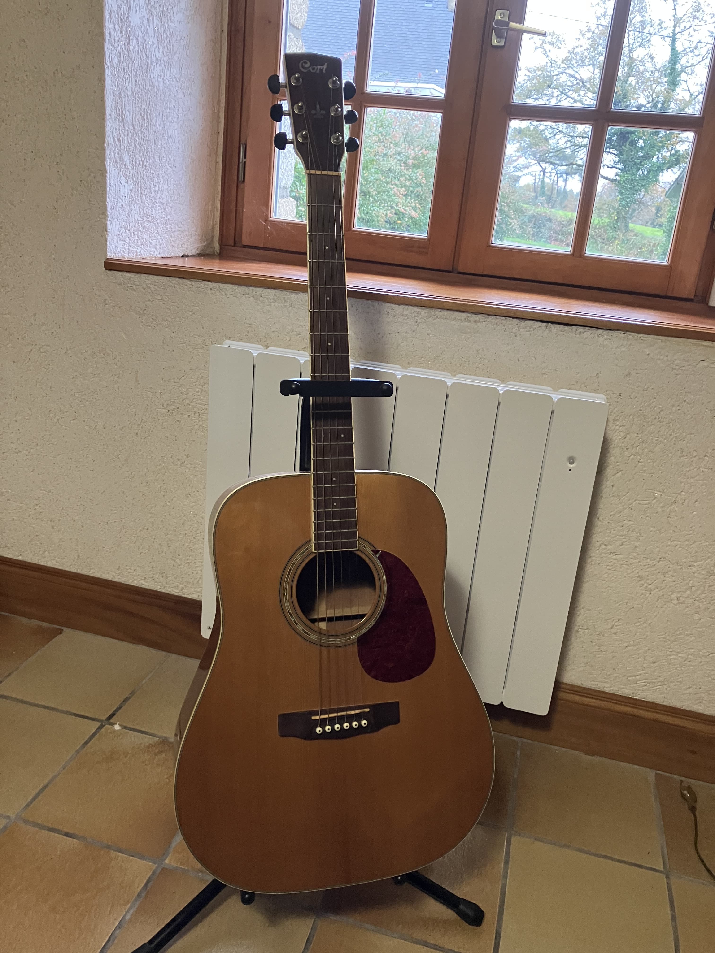 Guitare acoustique Cort Earth 200