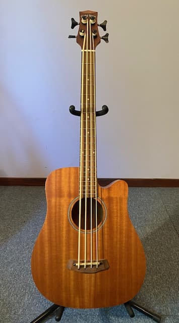 Vends microbass goldtone 25