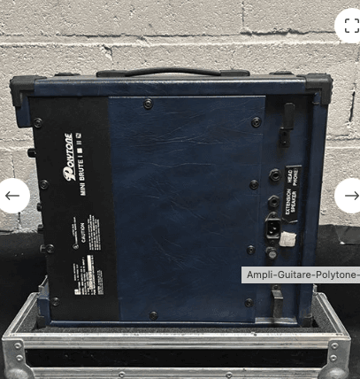 Ampli Guitare Polytone MB II mini brute