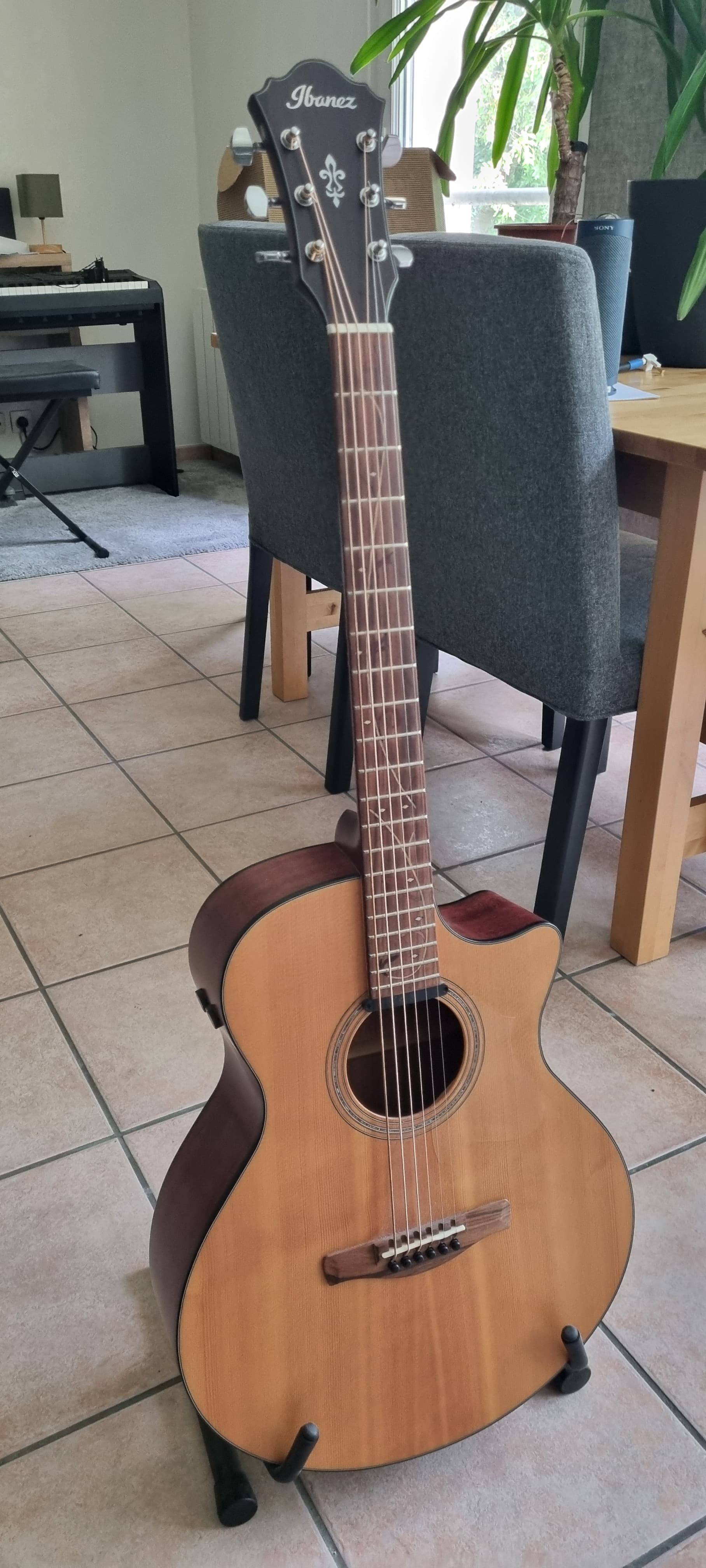 Ibanez AE275BT-LGS Acoustique Baryton