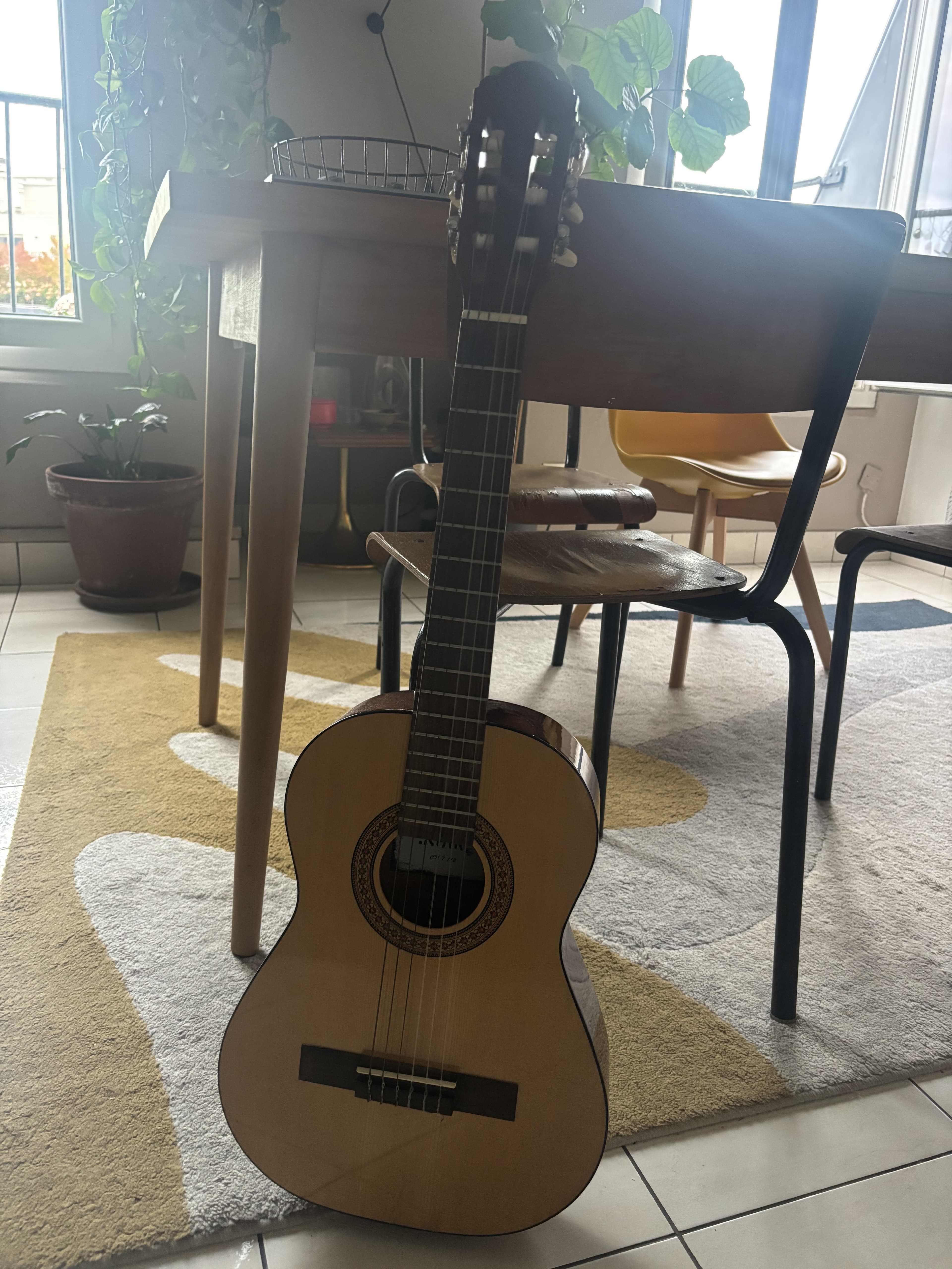 Vends Guitarre petite